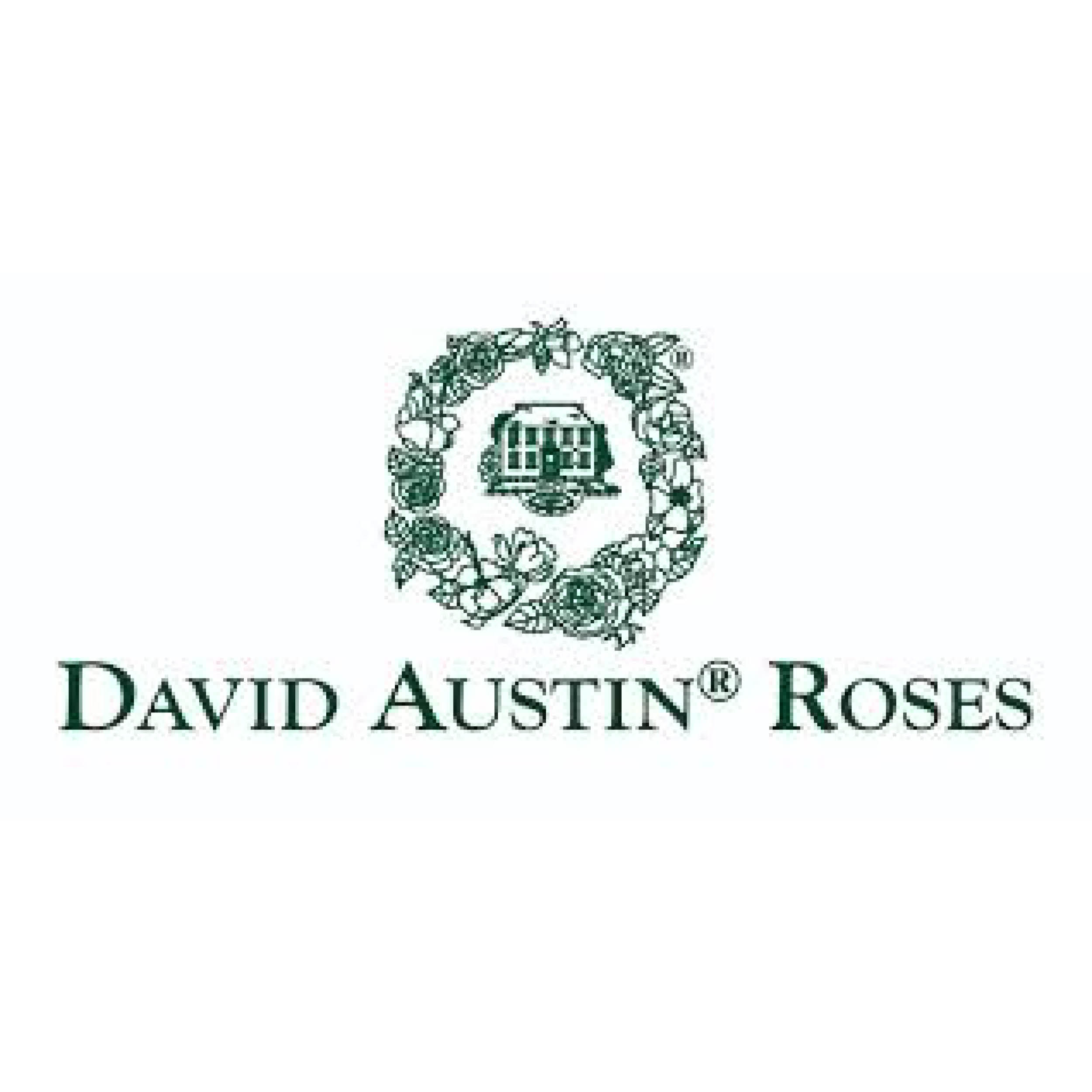 David Austin® English Roses